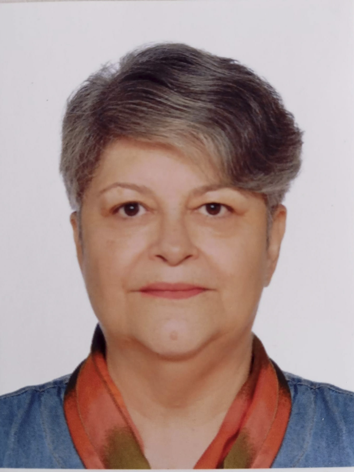 Halide Nihal Acikgoz